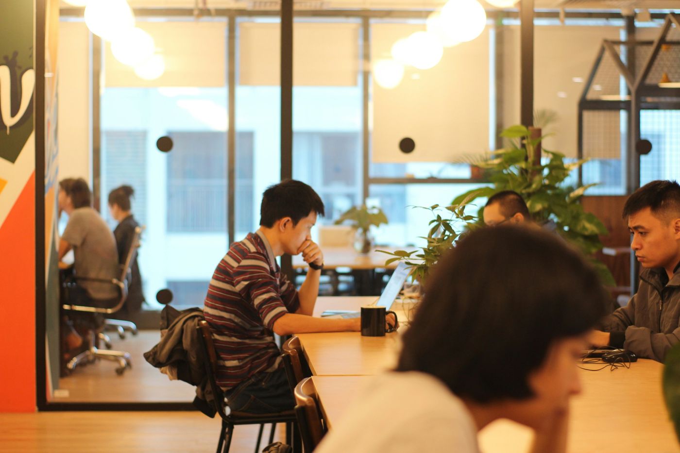 People working quietly side by side at a long shared table